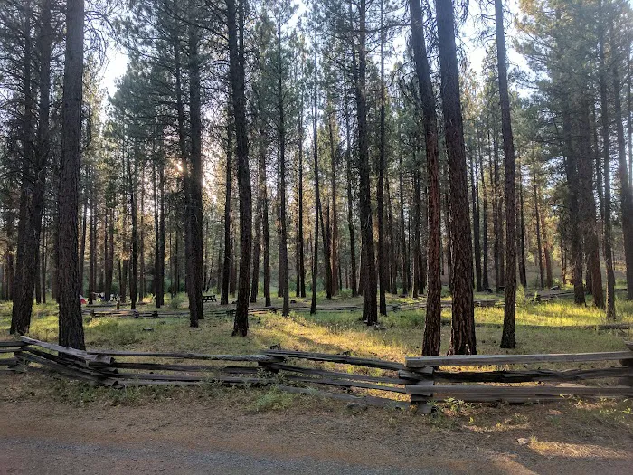 Sugar Creek Campground and Day Use Area Picture 10