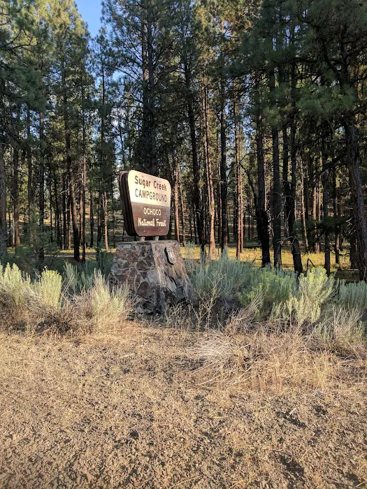 Sugar Creek Campground and Day Use Area Picture 7