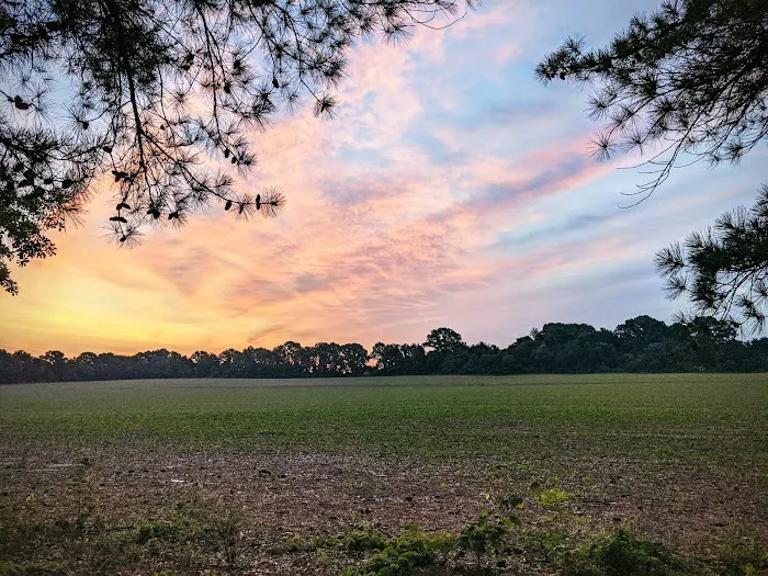 Jackson Mobile Village Exit 68 Picture 1