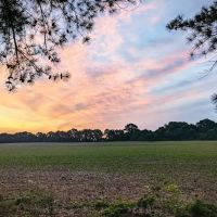 Jackson Mobile Village Exit 68 ico