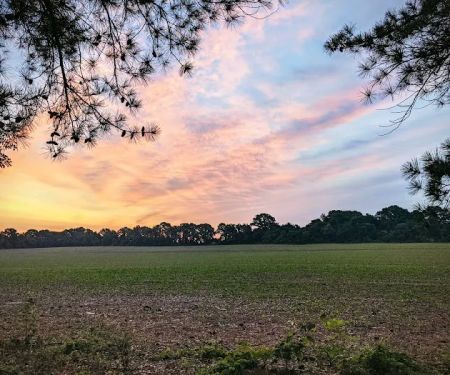 Jackson Mobile Village Exit 68