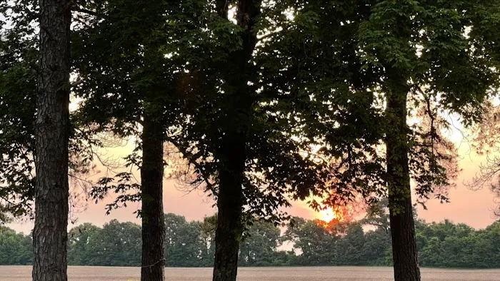 Jackson Mobile Village Exit 68 Picture 9