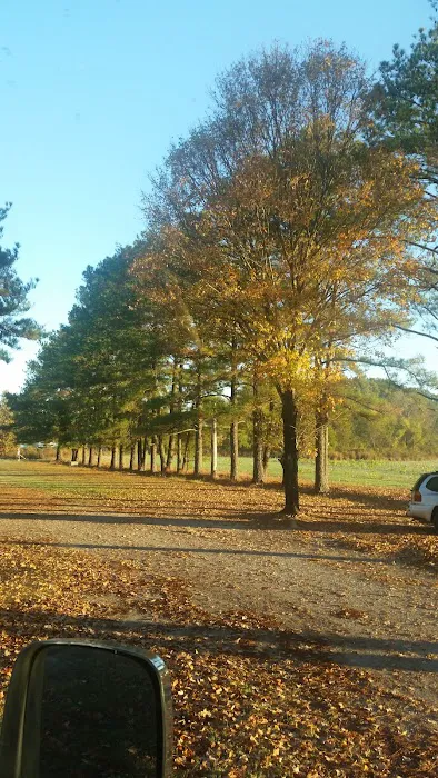 Jackson Mobile Village Exit 68 Picture 10