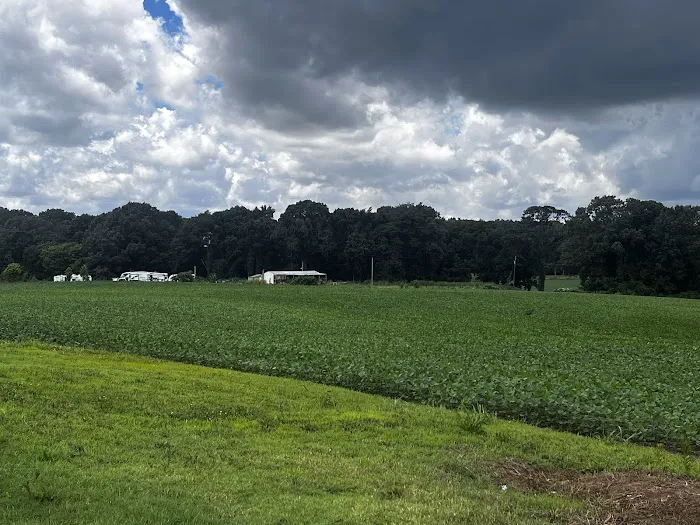 Cliff Creek RV Park Picture 2