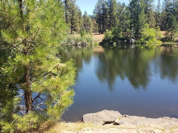 Cottonwood Pit Campground Picture 1