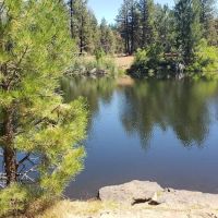 Cottonwood Pit Campground ico