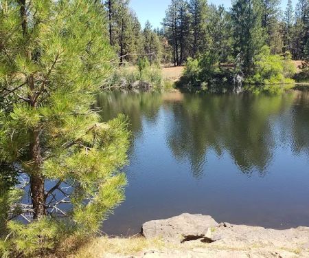 Cottonwood Pit Campground