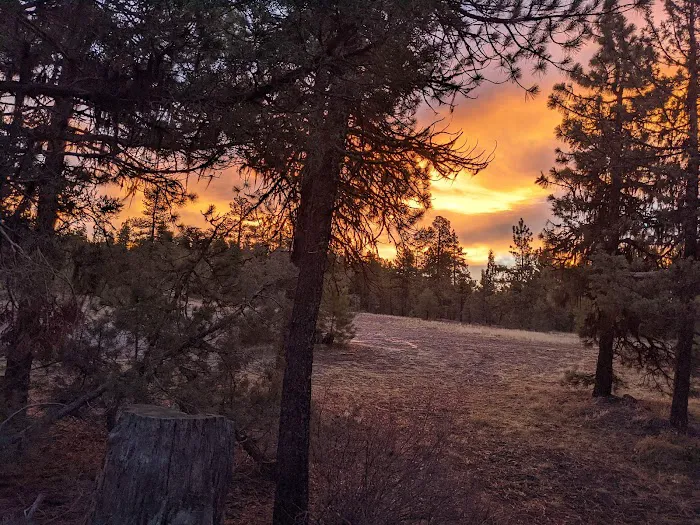 Cottonwood Pit Campground Picture 8