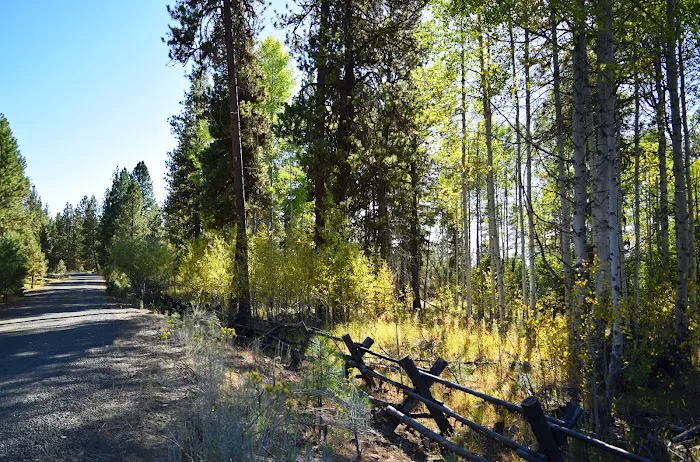 Twin Springs Campground Picture 2