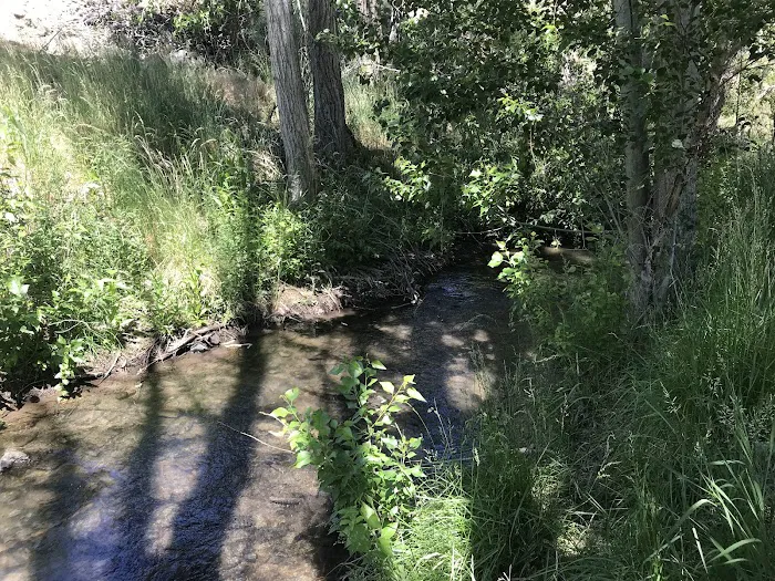 Mitchell City Park Picture 2