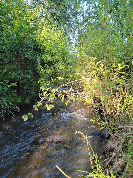 Mitchell City Park Picture 10