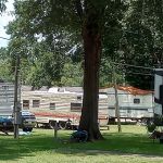 Selma Estates and RV Park LLC