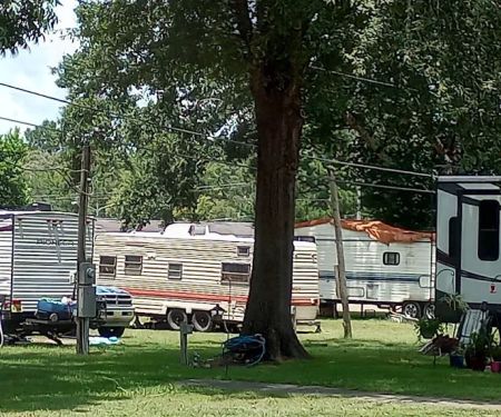 Selma Estates and RV Park LLC