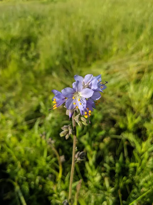 Walton Lake Picture 3