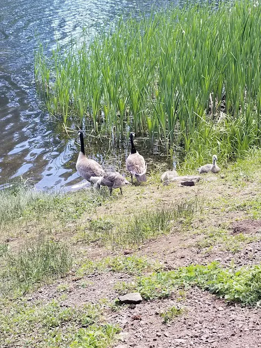 Walton Lake Picture 2