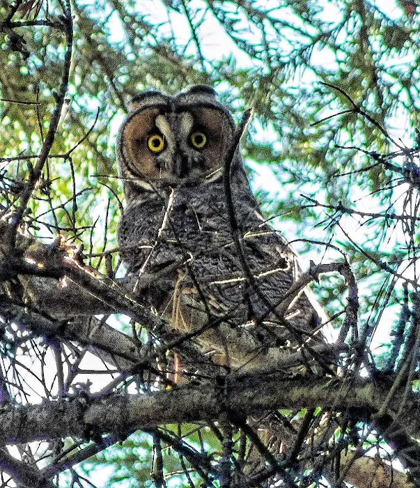 Walton Lake Picture 1