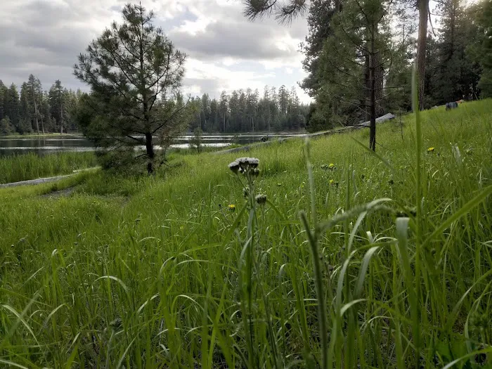 Walton Lake Picture 6