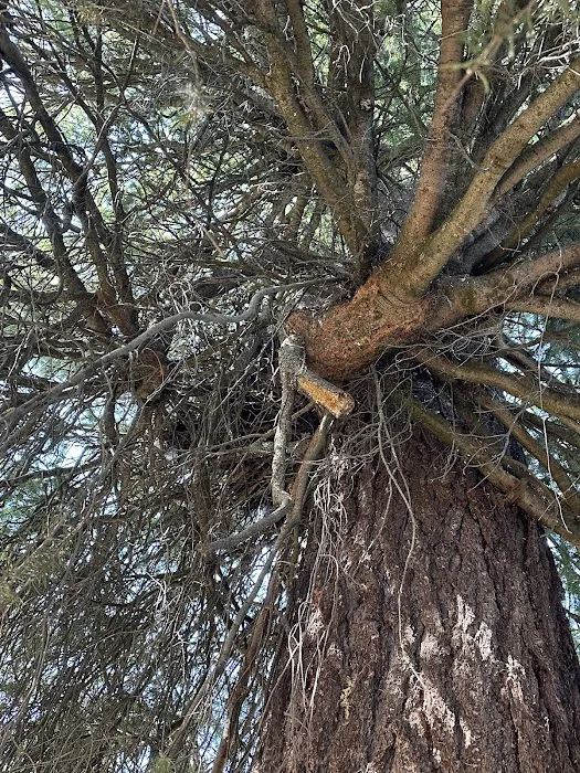 Walton Lake Picture 5