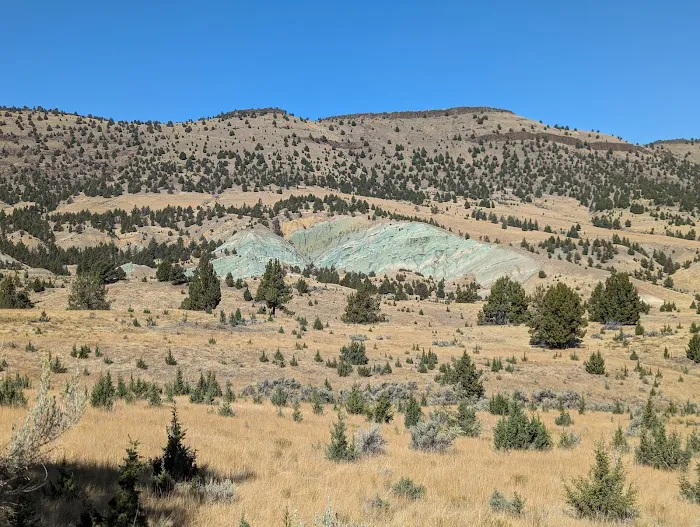 Ochoco Forest Camp and Pavilion Picture 10