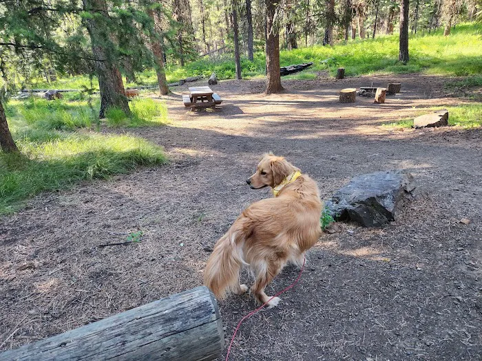 Ochoco Divide Campground Picture 1