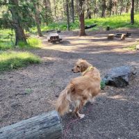 Ochoco Divide Campground ico