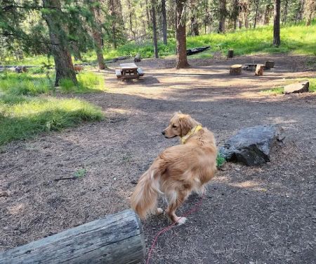Ochoco Divide Campground