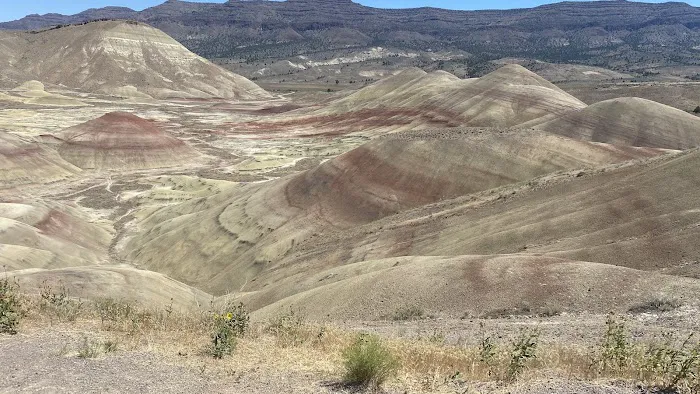 Ochoco Divide Campground Picture 4