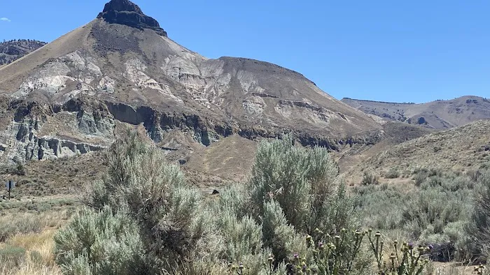 Ochoco Divide Campground Picture 9