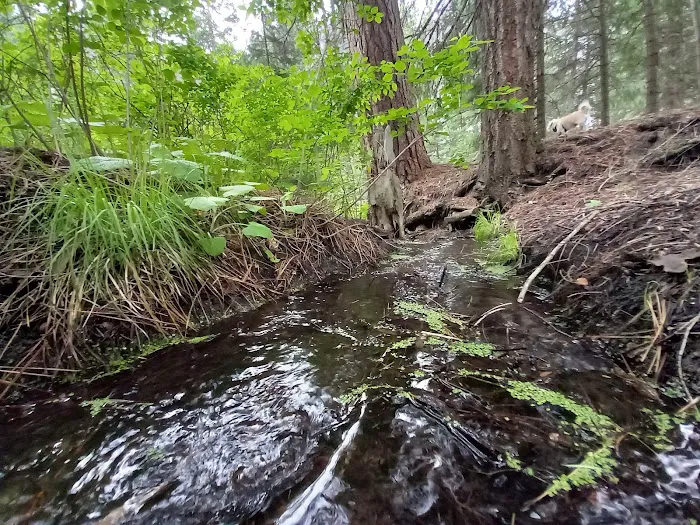 Ochoco Divide Campground Picture 5