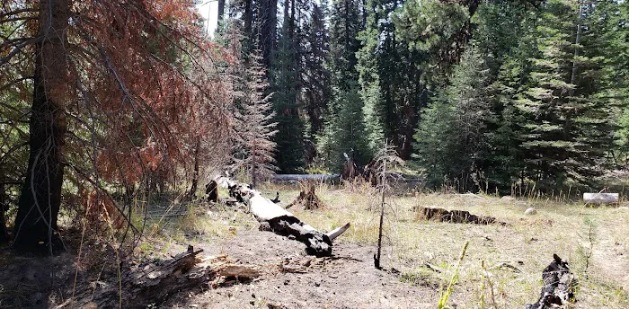 Whistler Campground Picture 3