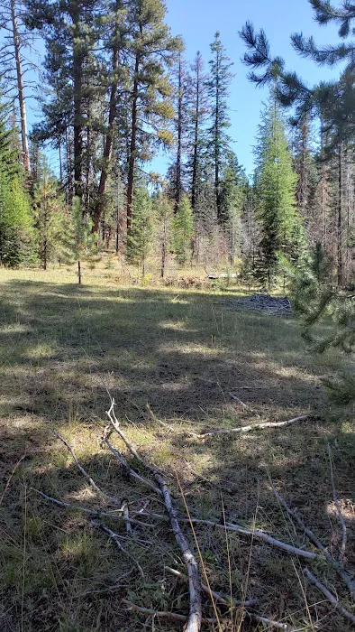 Whistler Campground Picture 1