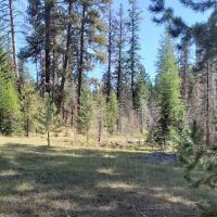 Whistler Campground ico