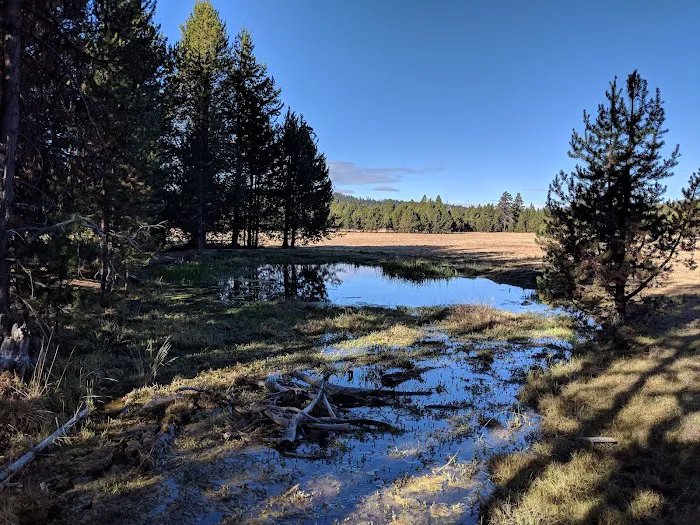 Bingham Prairie Campground Picture 3