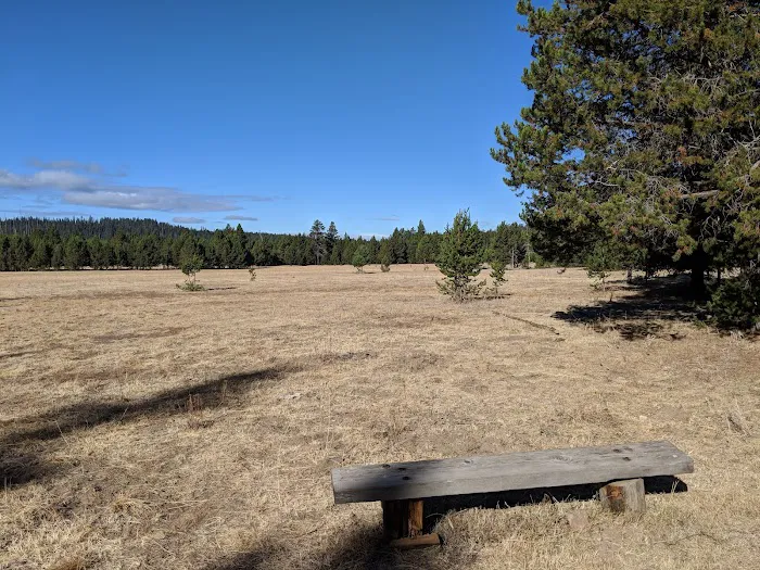 Bingham Prairie Campground Picture 4