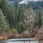 Bingham Springs Campground