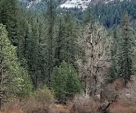 Bingham Springs Campground