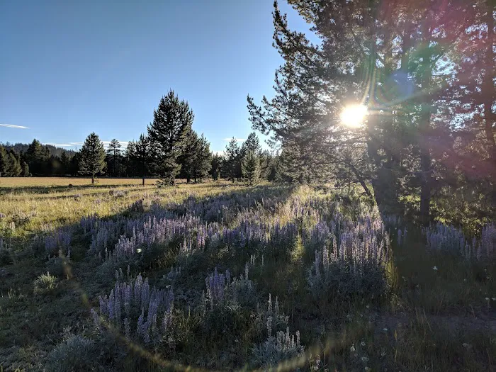 Bingham Springs Campground Picture 4