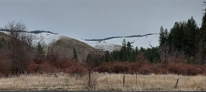 Bingham Springs Campground Picture 5