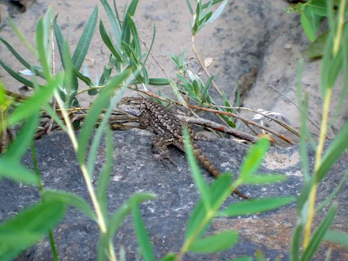 Priest Hole Recreation Site Picture 4