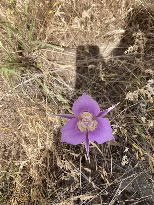 Burnt Ranch Campground Picture 8