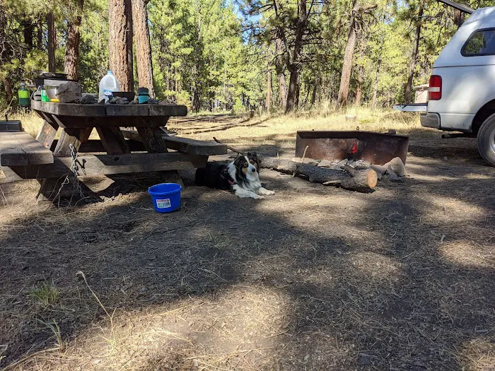 Elkhorn Campground Picture 2