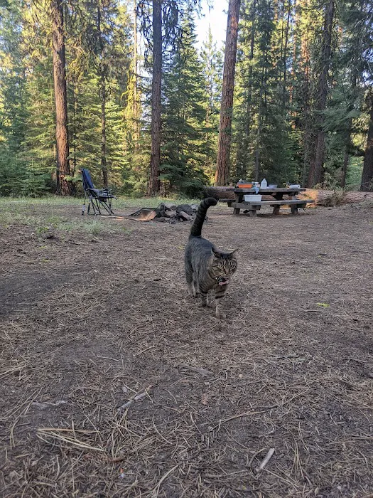 Wiley Flat Campground Picture 2