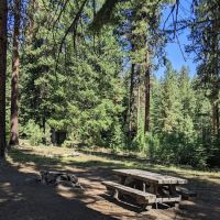 Wiley Flat Campground ico
