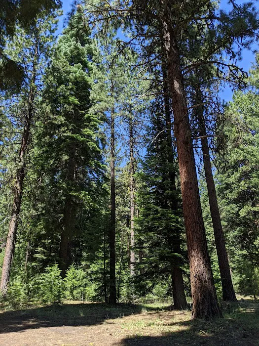 Wiley Flat Campground Picture 3