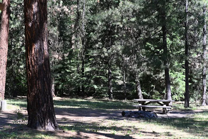Wiley Flat Campground Picture 8