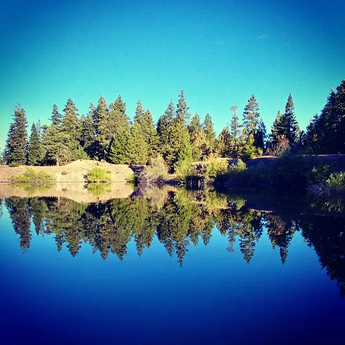 Whiskey Springs Picture 3