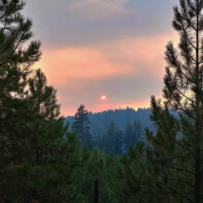 Whiskey Springs Picture 5