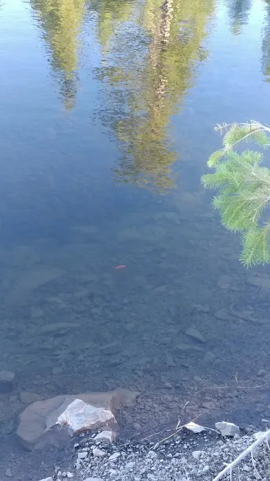 Whiskey Springs Picture 4