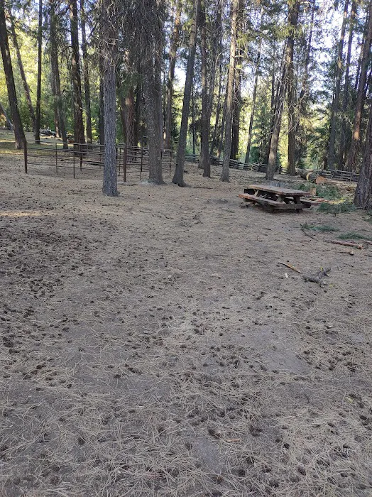 Dry Creek Horse Camp Picture 2