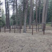 Dry Creek Horse Camp ico
